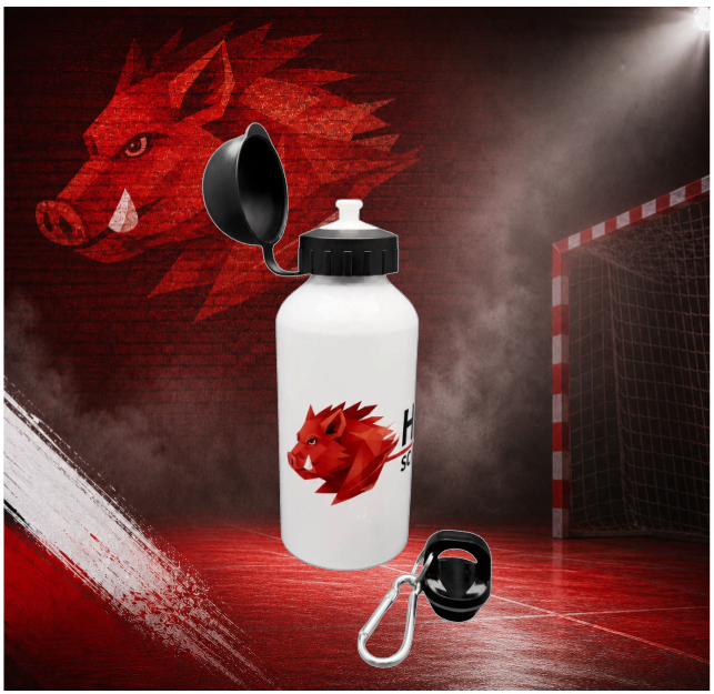 Offizielle SC DJK Everswinkel Handball Trinkflasche – 500 ml